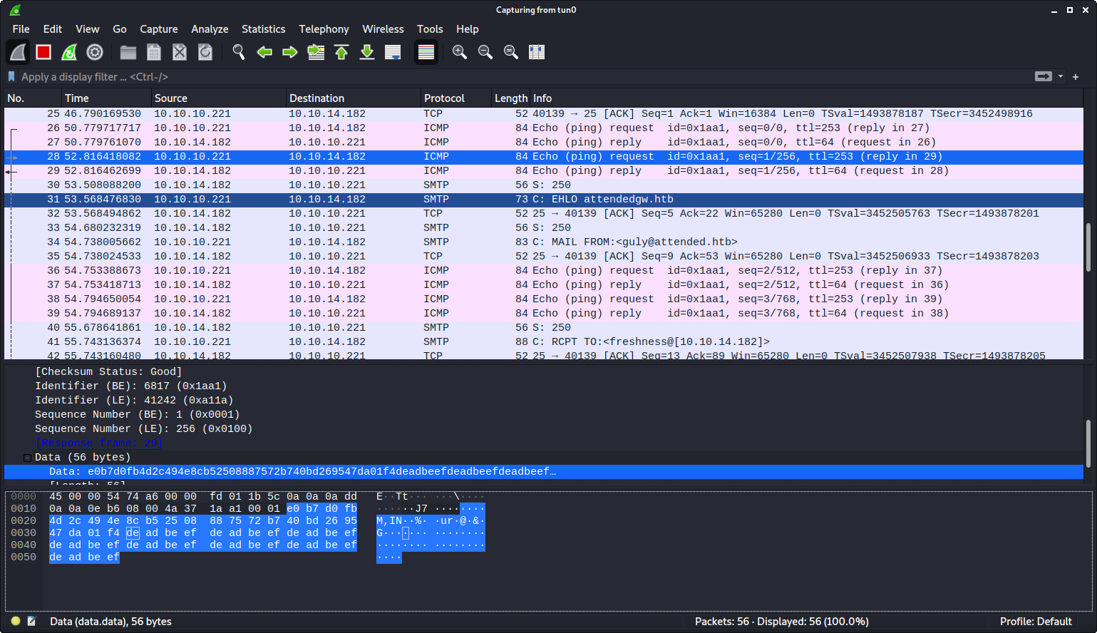 The dead beef message in the wireshark output