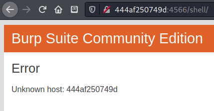An error message showing a strange looking hostname