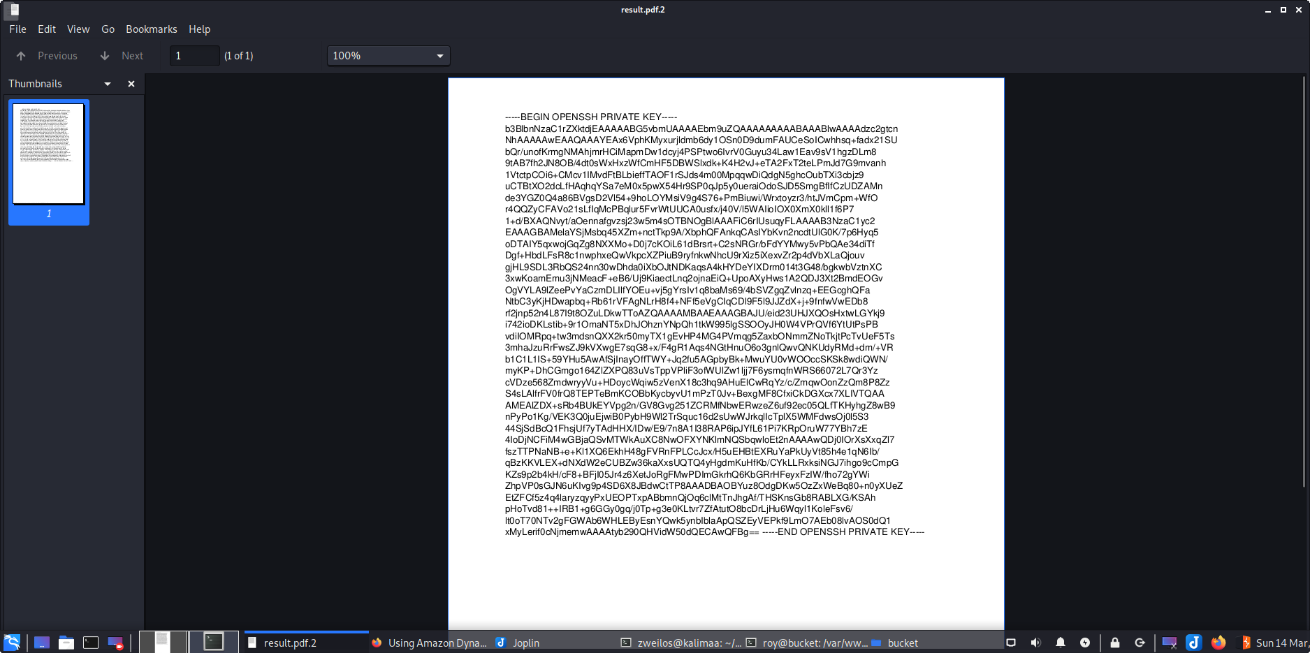 A PDF file containing the contents of root's private SSH key