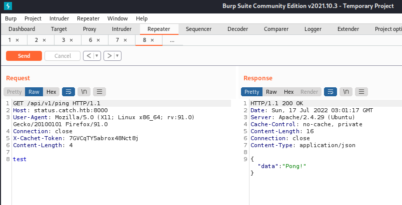 Using Burp suite to interact with the ping API and getting back pong